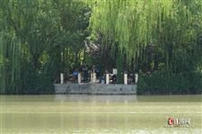 清明节吃什么海鲜，清明节吃什么海鲜比较好