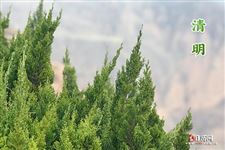 清明节是农历几月几日，2022年清明是农历几月初几