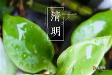 几号清明节，2021年清明节是几号