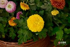 清明节天气温度，清明节天气如何