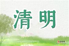 清明节扫墓带什么花?为什么