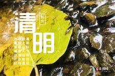 清明节钓鱼用什么饵料