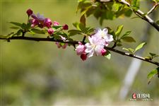 劳动节是什么节日，劳动节是中国的节日吗