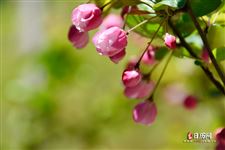 五一劳动节几天法定假日，51劳动节法定几天