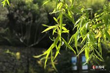 劳动节的诗句名言