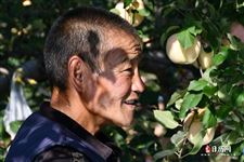 51劳动节的意义是什么 51劳动节的意义是什么