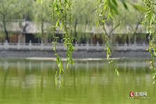2021三伏天的三伏时间