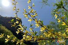 2021劳动节几号放假，学生劳动节休息吗