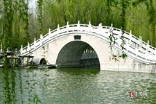 5月4日青年节是干什么的