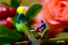 关于劳动节的资料有哪些，关于5.1劳动节的资料