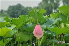 2021立春是几月几日几点立夏