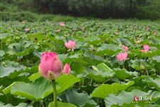 几点立夏2021