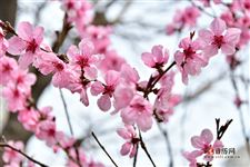 2021年5月12日财神方位