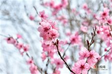 2021年5月15日五行穿衣