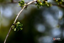 5月16日是什么日子