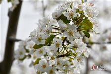2021年5月22日财神方位