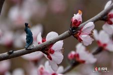 2021年5月26日五行穿衣