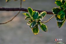 5月27日是什么日子?