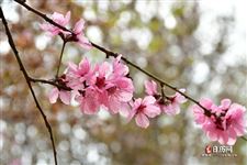 2021年5月29日五行穿衣