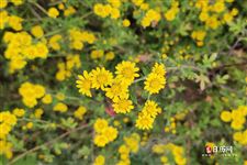 五四青年节的名言，五四青年节经典名言