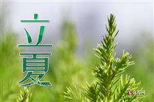 立夏应该吃什么窍门 立夏应该吃什么窍门