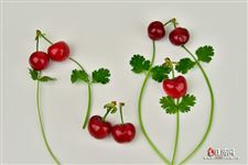 北方立夏吃什么饭