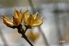 2021年五四青年节几周年