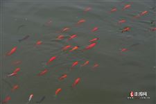 2021年立夏是几点几分几秒