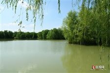 青年节是什么意思？五月四号青年节是什么意思