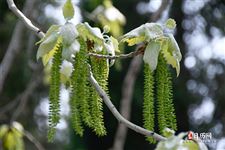 青年节是什么意思？五四青年节的含义