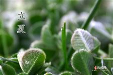 2021立夏那天可以动土吗？