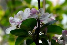 中国青年节的由来简介，五四青年节怎么来的