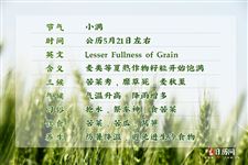 小满节气的寓意是什么