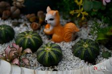 2021年6月6日五行穿衣指南