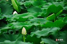 2021年6月6日是黄道吉日吗