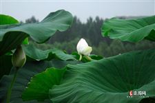 6月5日是什么日子?