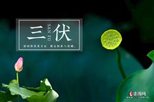 今日入伏！40天加长版三伏天来了！