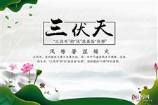 40天加长版三伏天今日开启，记得防暑！