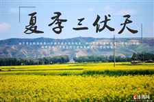 2021三伏天是几月到几月