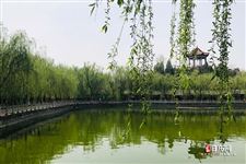 今年几月几号入伏第一天2021
