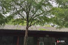 黄历2021年7月黄道吉日查询