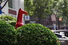 2021年7月30日五行穿衣