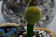 2021年7月24日五行穿衣
