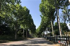 小暑大暑上蒸下煮是什么意思 小暑大暑上蒸下煮是什么意思