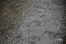 大暑下雨预示什么,大暑下雨有什么说法 大暑下雨预示什么,大暑下雨有什么说法