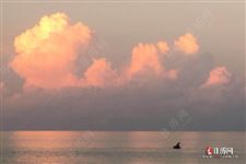 中伏一般多少天
