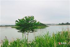 今年中伏是十天还是二十天，2021中伏多少天