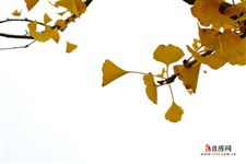 立秋的天气特点 立秋的天气特点
