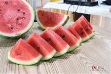 立秋啃秋瓜啃的是什么瓜 立秋啃秋瓜啃的是什么瓜