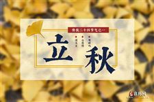 形容立秋下雨的句子